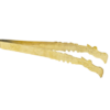 Oriental zange gold 2 510x383 removebg preview